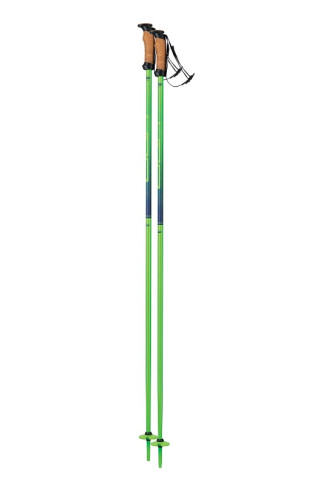 Палки г/л ELAN Speedrod Green