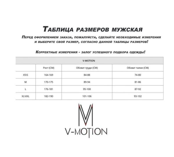 Термобельё V-MOTION Base мужской серебристый в Севастополе