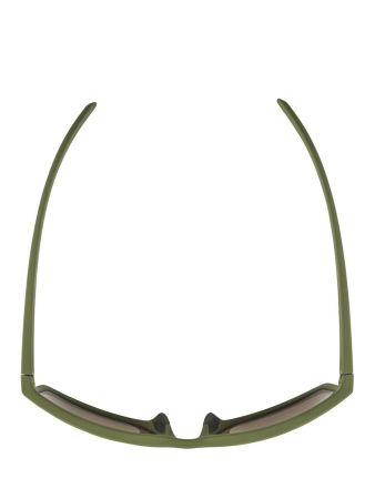 Купить Очки Alpina Nacan I Olive Matt/Bronce Mirror Cat.3 в Севастополе