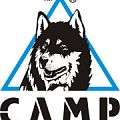 Кошки CAMP в Севастополе