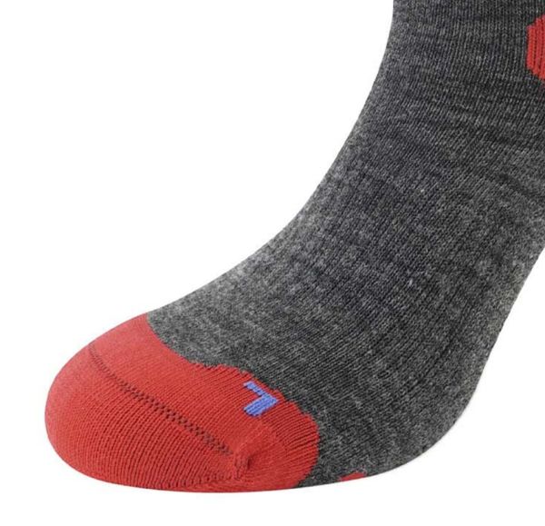Купить Носки LENZ Skiing Kids Grey/Red/Blue в Севастополе