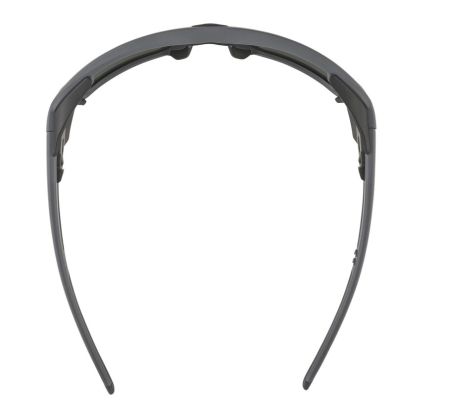Купить Очки Alpina Skywalsh Q Midnight-Grey Matt/Blue Mirror Cat.4 Fogstop в Севастополе