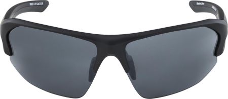 Купить Очки Alpina Lyron Hr Black Matt/Black Mirror Cat.3 в Севастополе