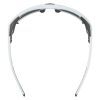Купить Очки Alpina Skywalsh Q Smoke-Grey Matt/Green Mirror Cat.4 Fogstop в Севастополе