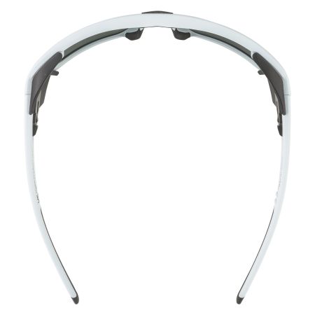 Купить Очки Alpina Skywalsh Q Smoke-Grey Matt/Green Mirror Cat.4 Fogstop в Севастополе