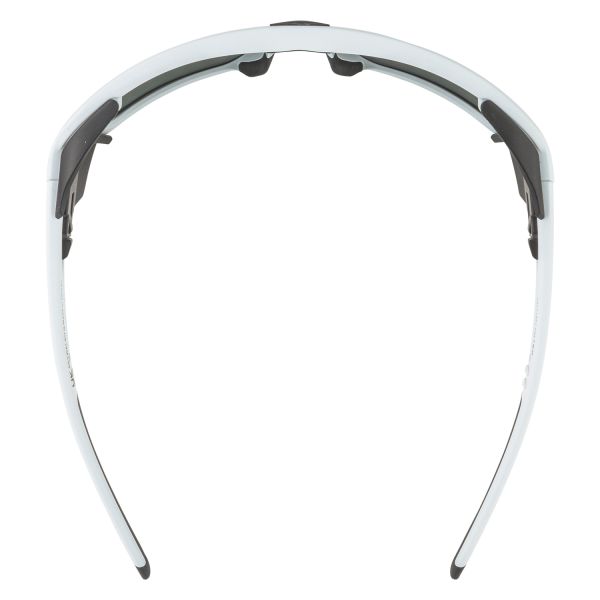 Купить очки alpina skywalsh q smoke-grey matt/green mirror cat.4 fogstop в Севастополе
